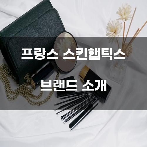 프랑스 스킨햅틱스 브랜드 소개