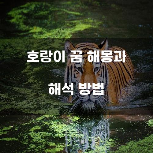 호랑이 꿈 해몽과 해석 방법