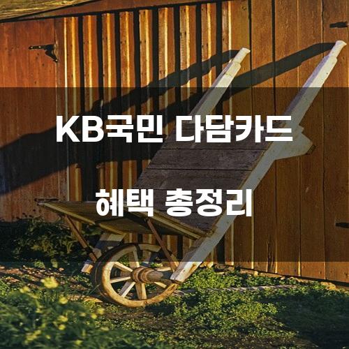 KB국민 다담카드 혜택 총정리