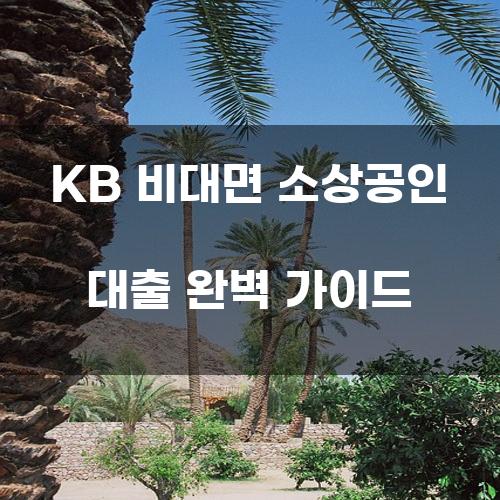KB 비대면 소상공인 대출 완벽 가이드