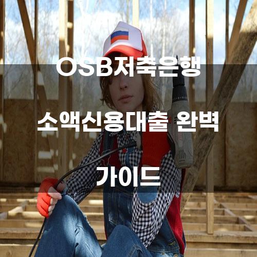 OSB저축은행 소액신용대출 완벽 가이드