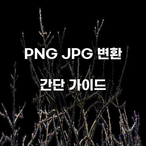 PNG JPG 변환 간단 가이드